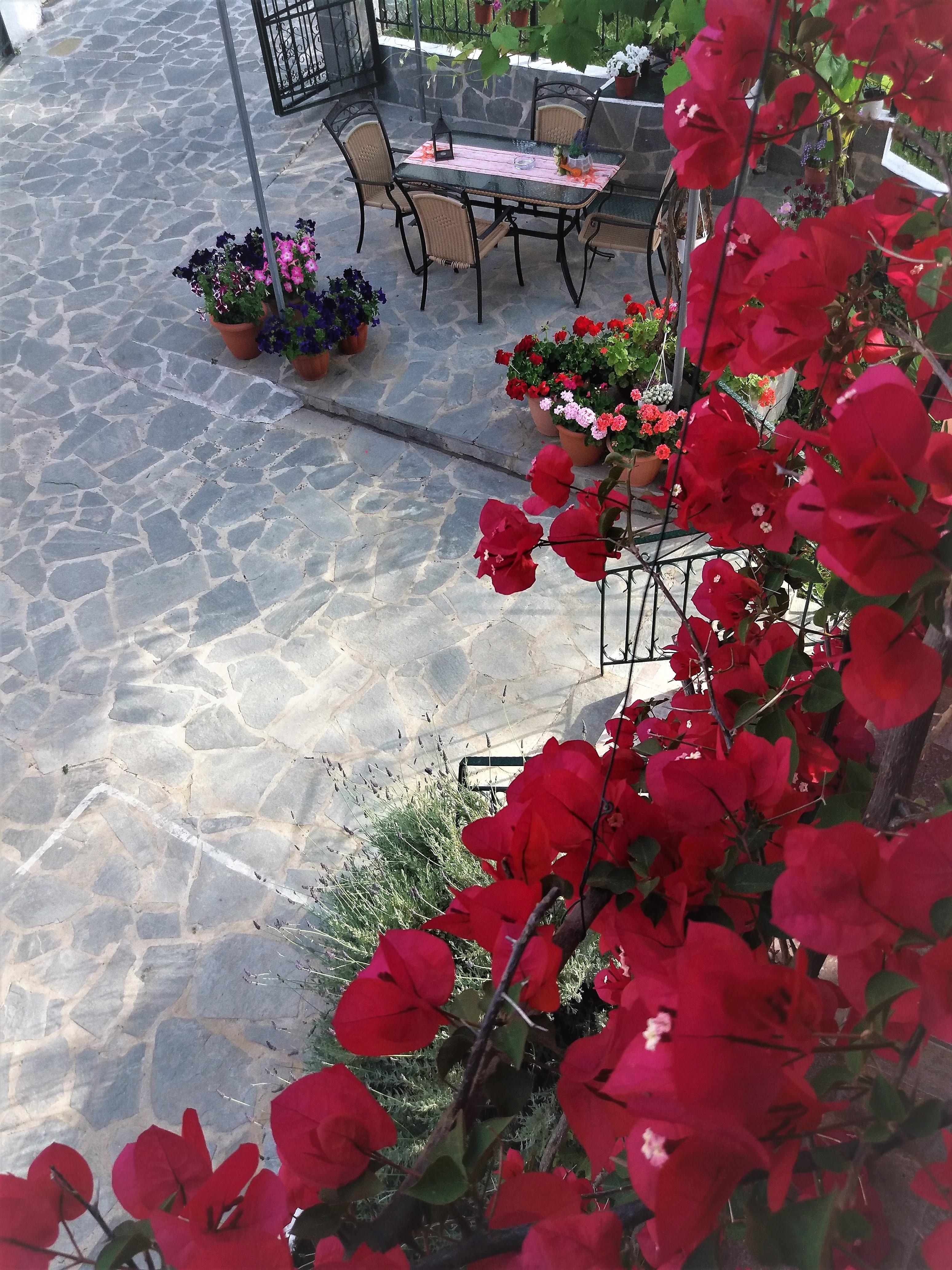 Ziogas Luxury Apartments Dassia (Corfu) Exterior foto