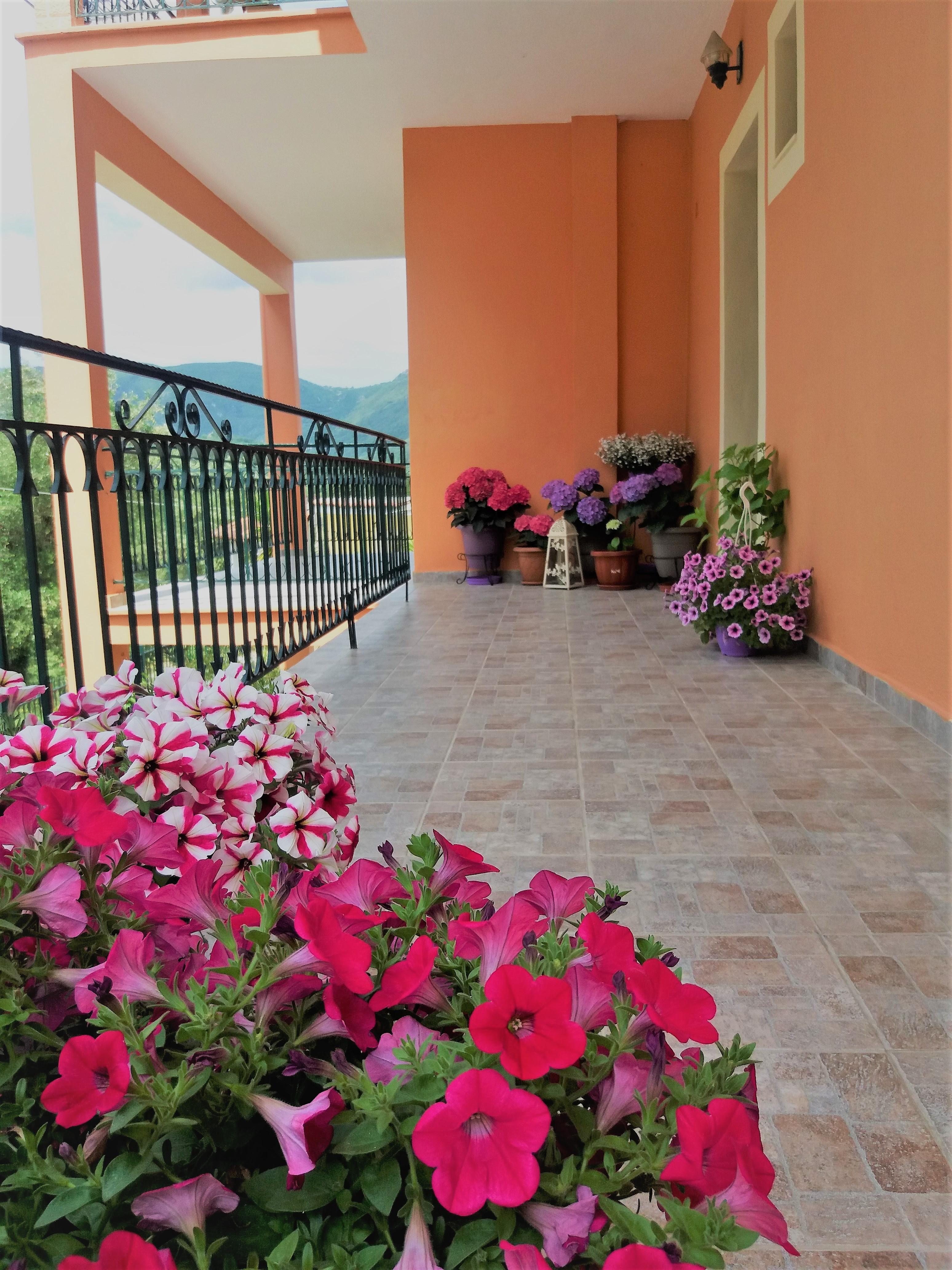 Ziogas Luxury Apartments Dassia (Corfu) Exterior foto