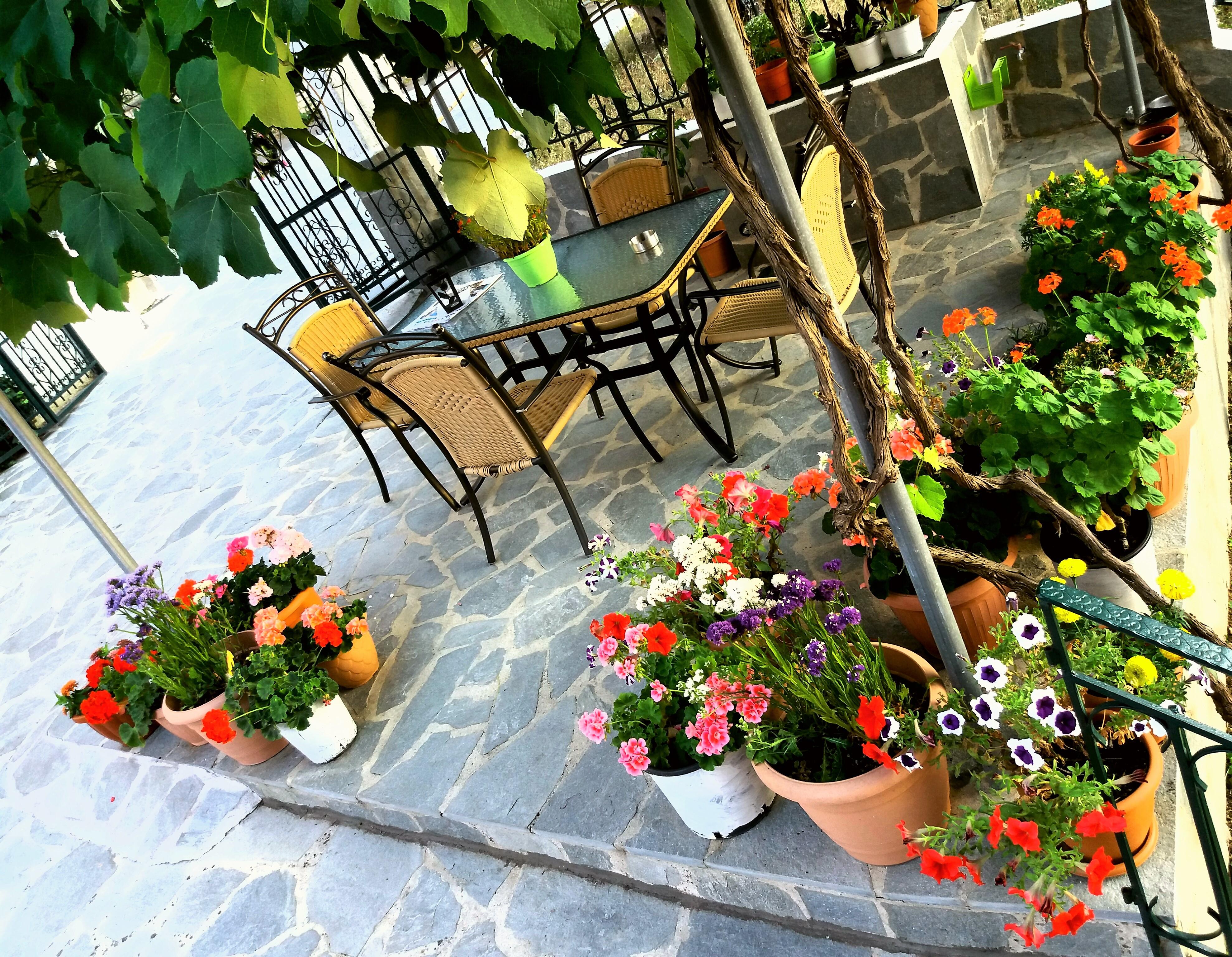 Ziogas Luxury Apartments Dassia (Corfu) Exterior foto