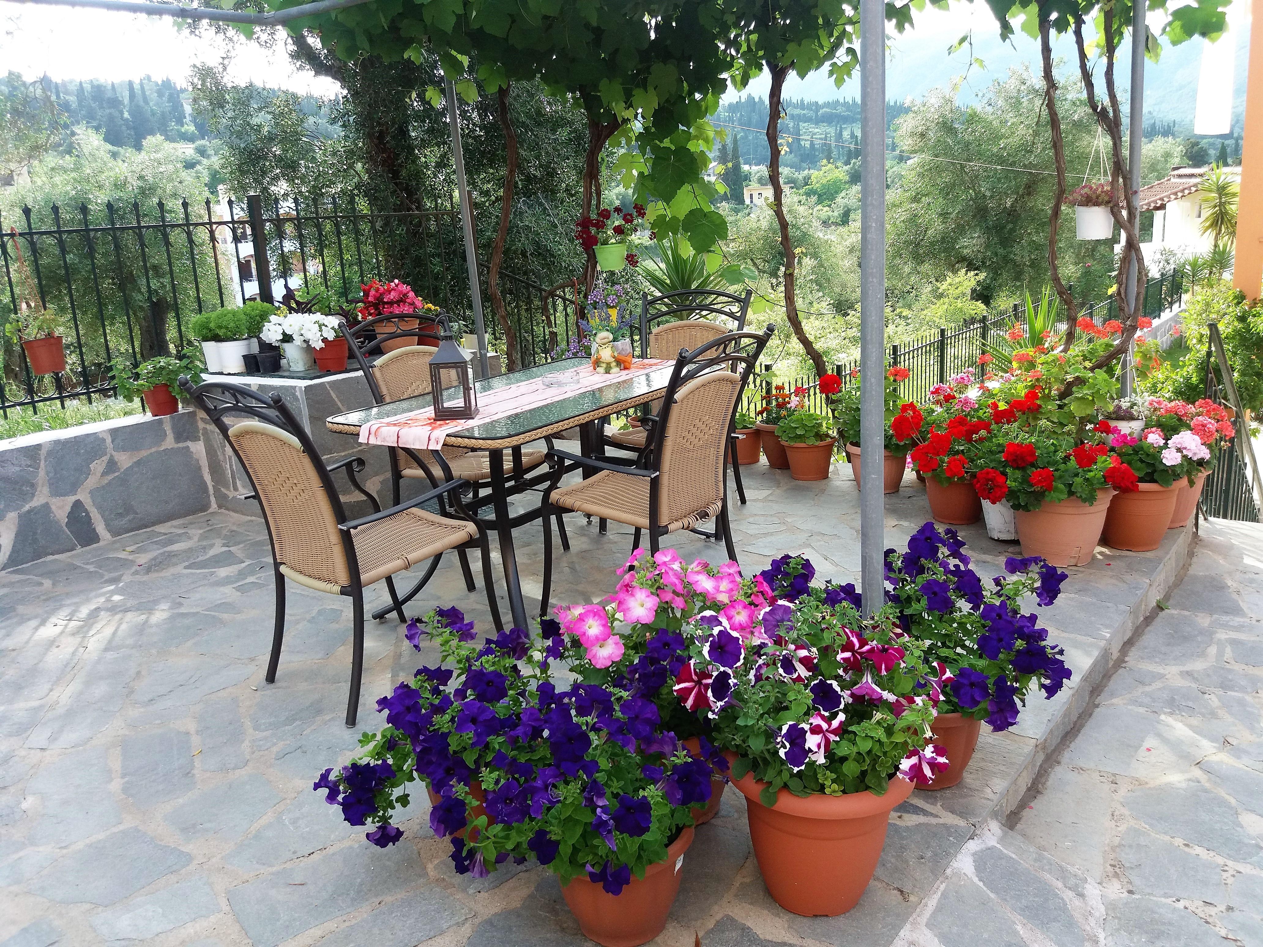 Ziogas Luxury Apartments Dassia (Corfu) Exterior foto