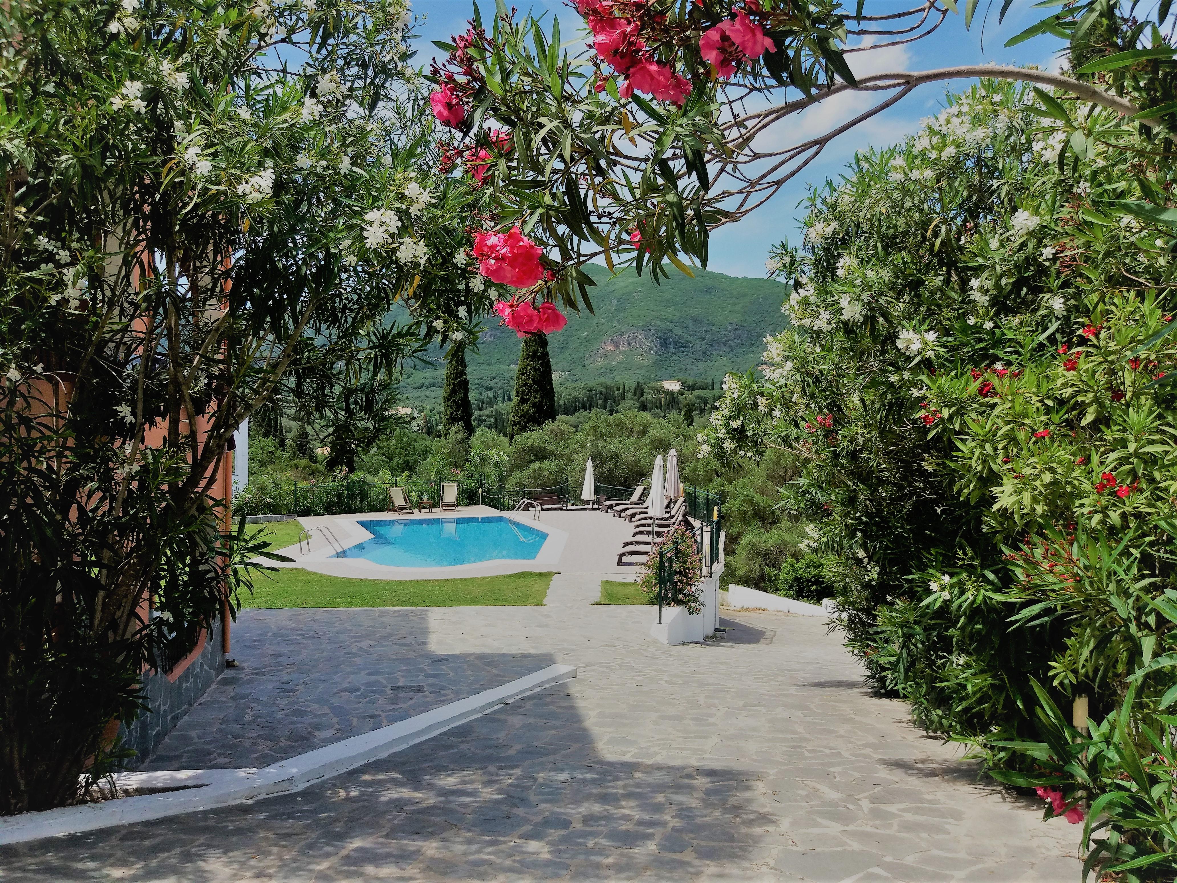 Ziogas Luxury Apartments Dassia (Corfu) Exterior foto