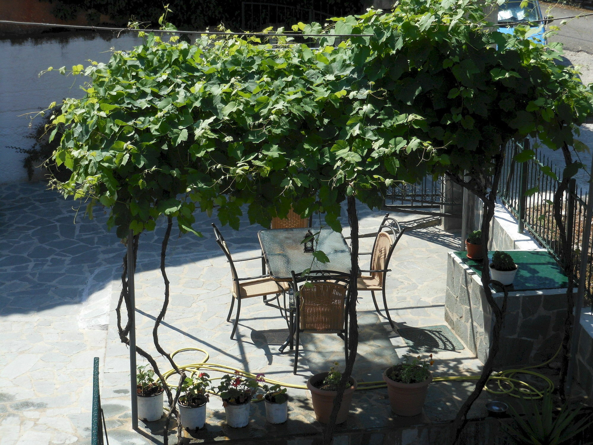 Ziogas Luxury Apartments Dassia (Corfu) Exterior foto
