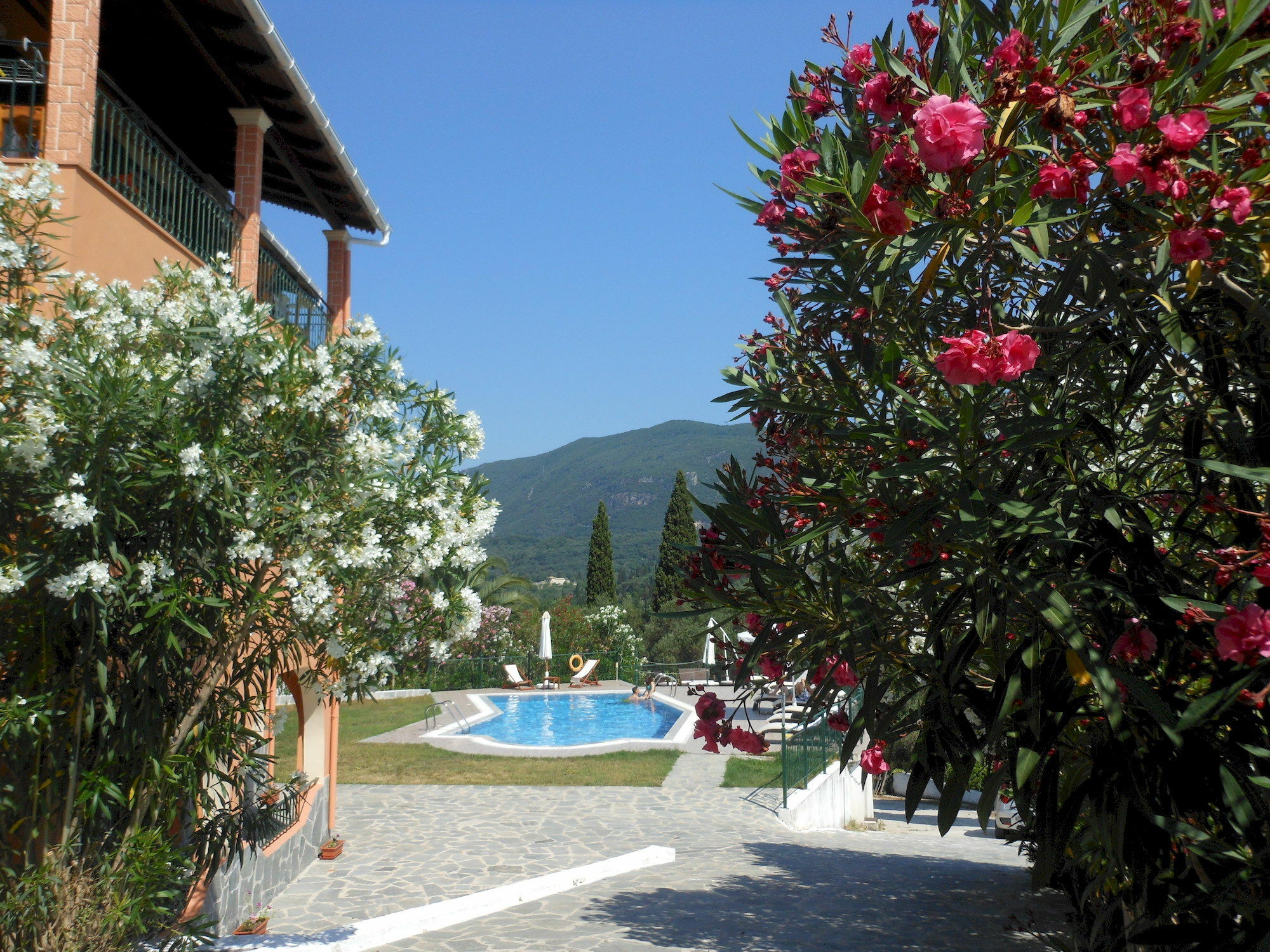 Ziogas Luxury Apartments Dassia (Corfu) Exterior foto