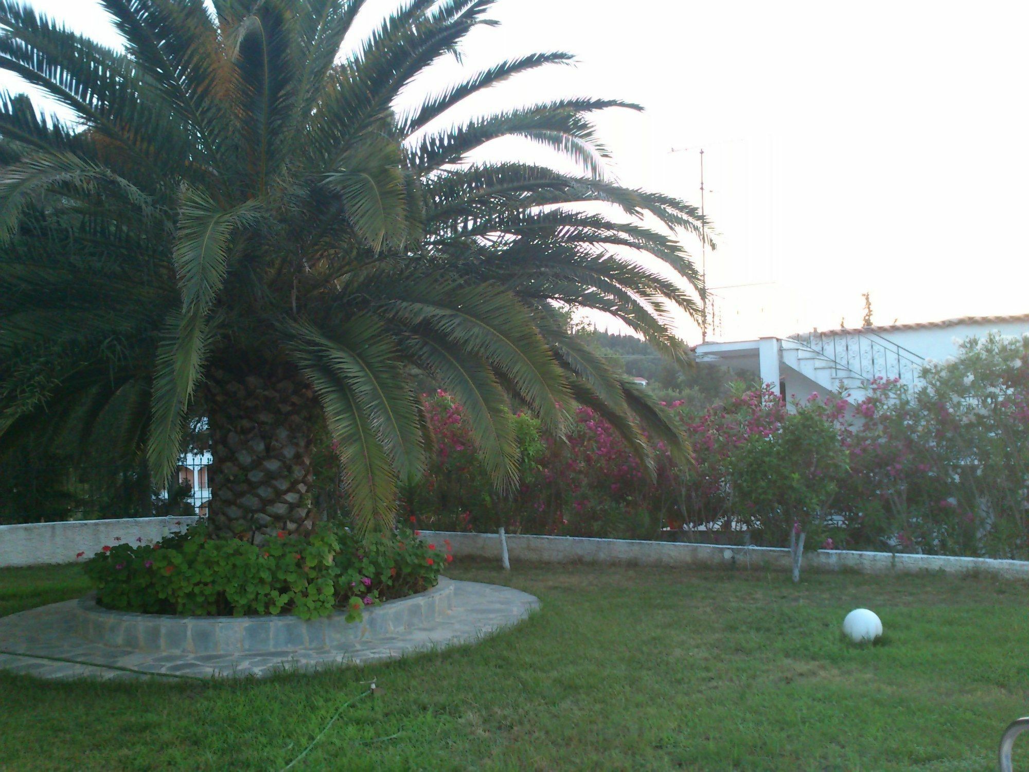 Ziogas Luxury Apartments Dassia (Corfu) Exterior foto